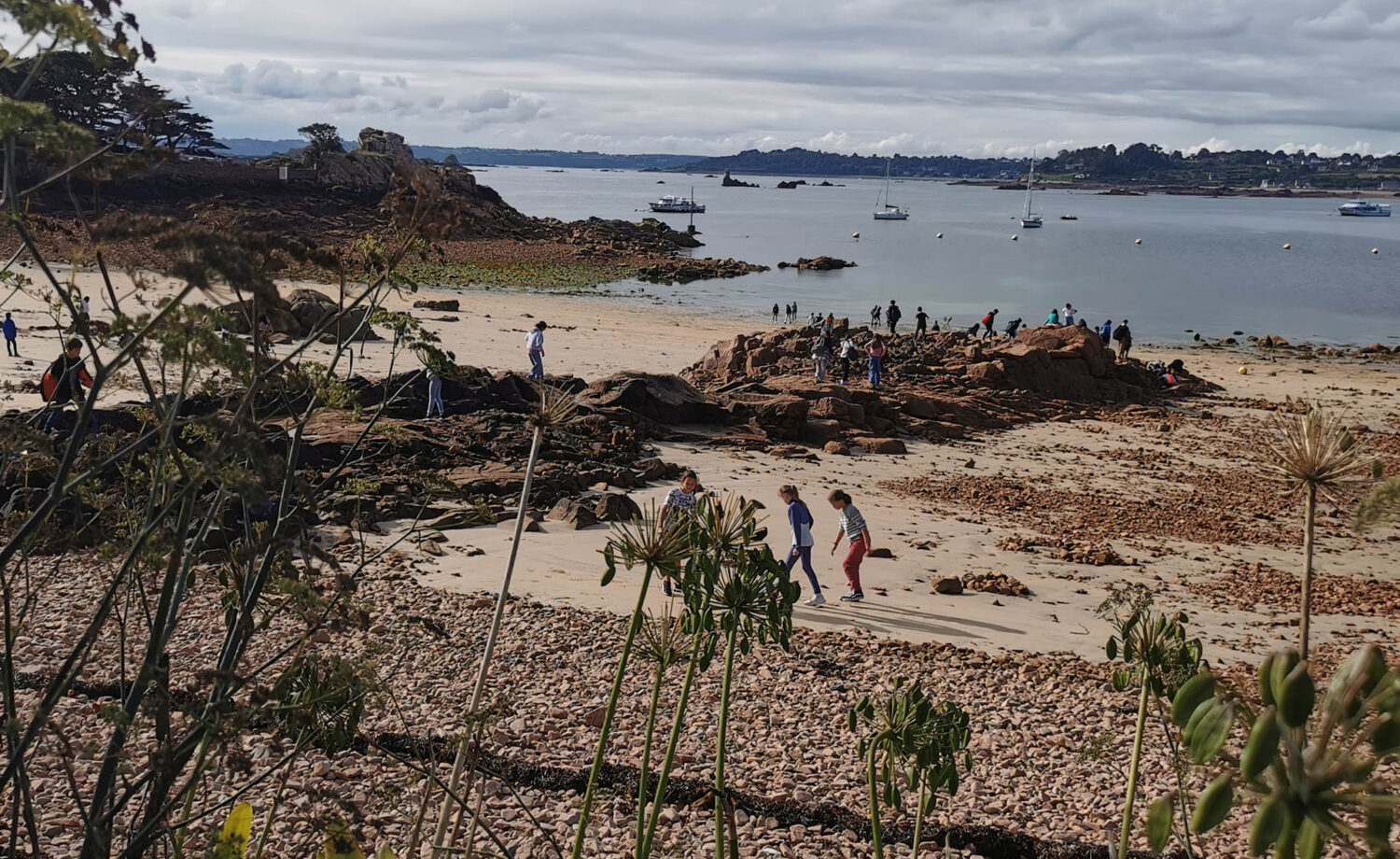 Petites Îles Vulnérables